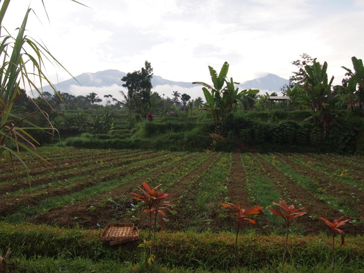 Tetebatu Mountain View Homestay 외부 사진