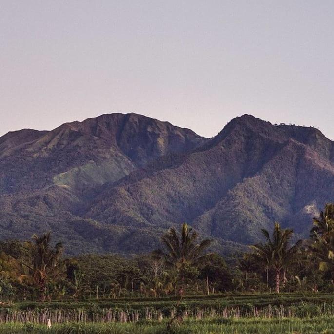 Tetebatu Mountain View Homestay 외부 사진