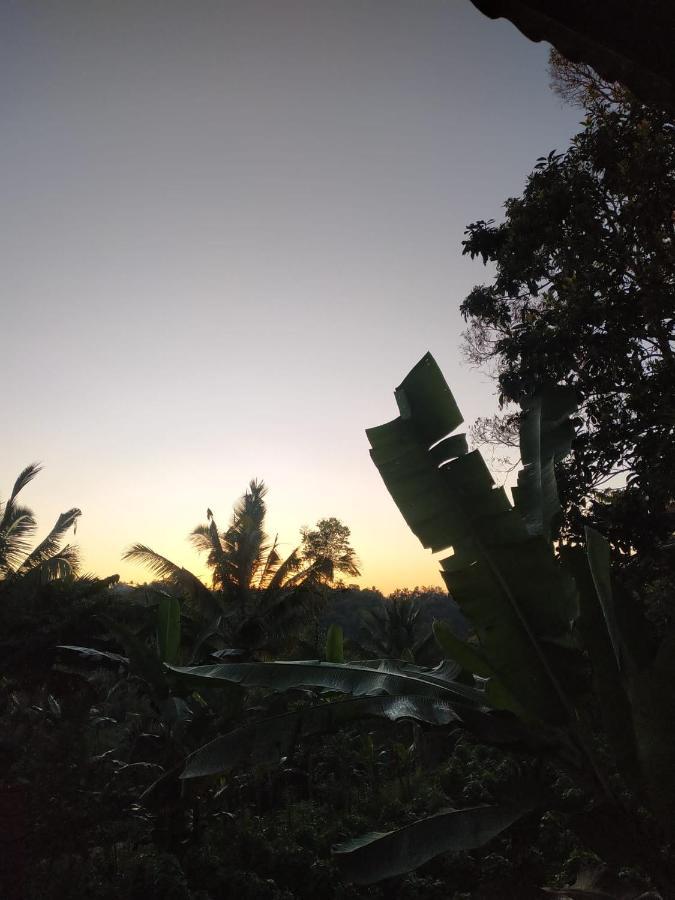 Tetebatu Mountain View Homestay 외부 사진