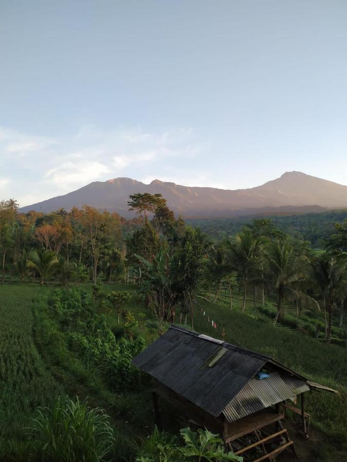 Tetebatu Mountain View Homestay 외부 사진
