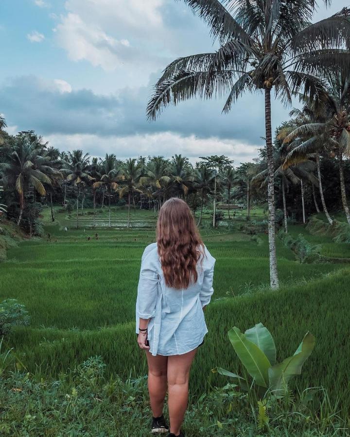 Tetebatu Mountain View Homestay 외부 사진