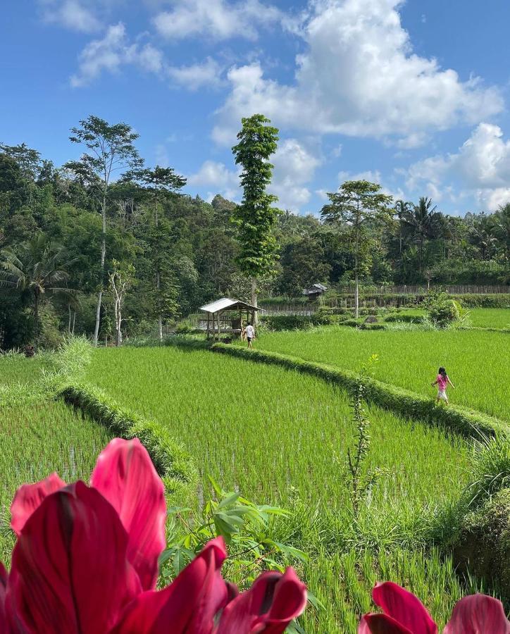 Tetebatu Mountain View Homestay 외부 사진