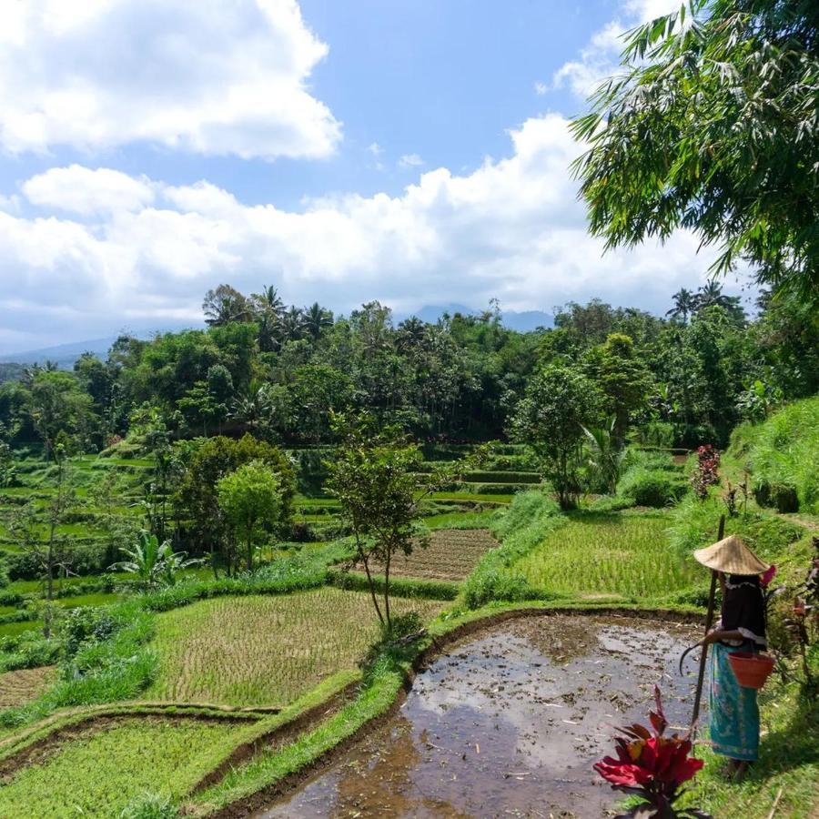 Tetebatu Mountain View Homestay 외부 사진