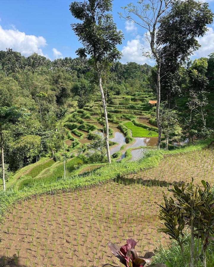 Tetebatu Mountain View Homestay 외부 사진