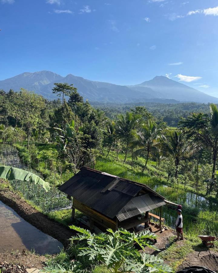 Tetebatu Mountain View Homestay 외부 사진