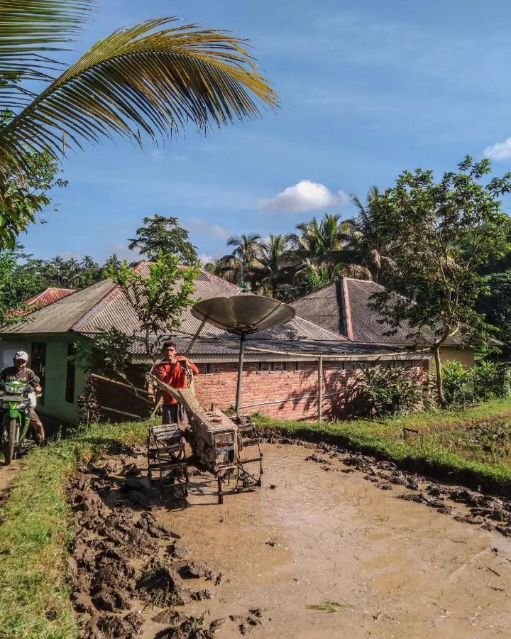 Tetebatu Mountain View Homestay 외부 사진