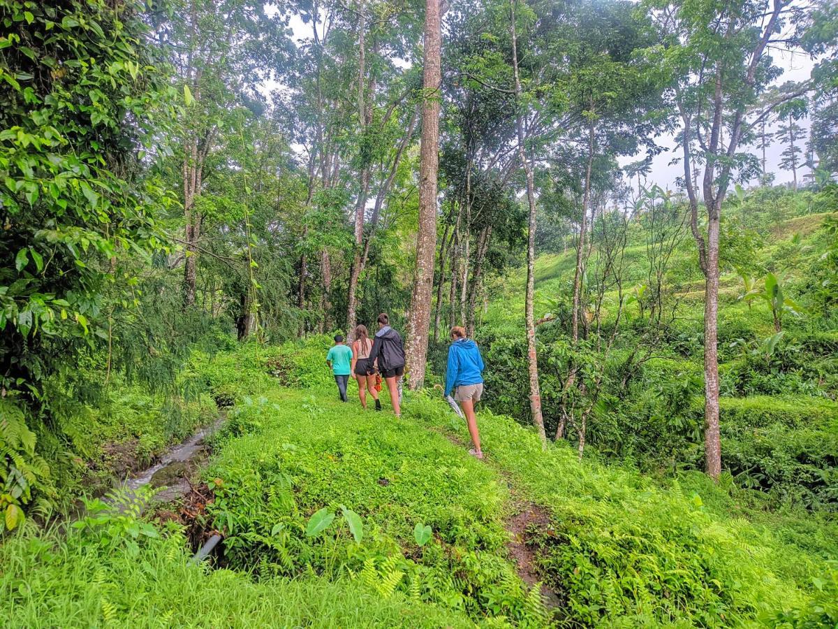 Tetebatu Mountain View Homestay 외부 사진
