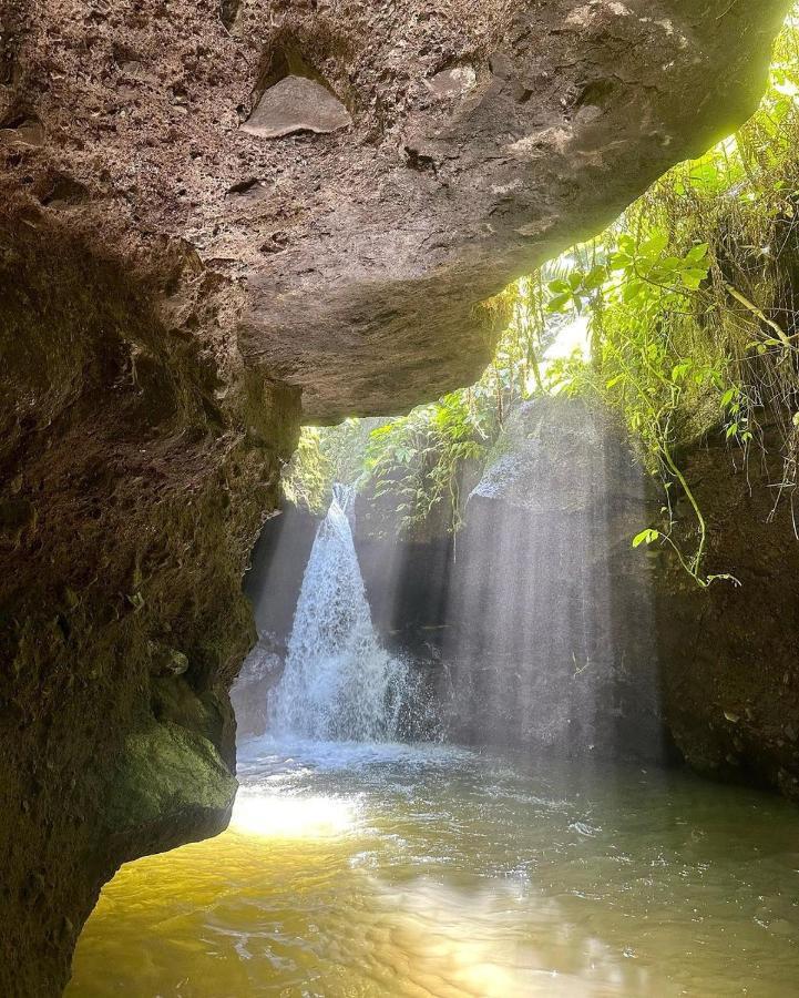 Tetebatu Mountain View Homestay 외부 사진
