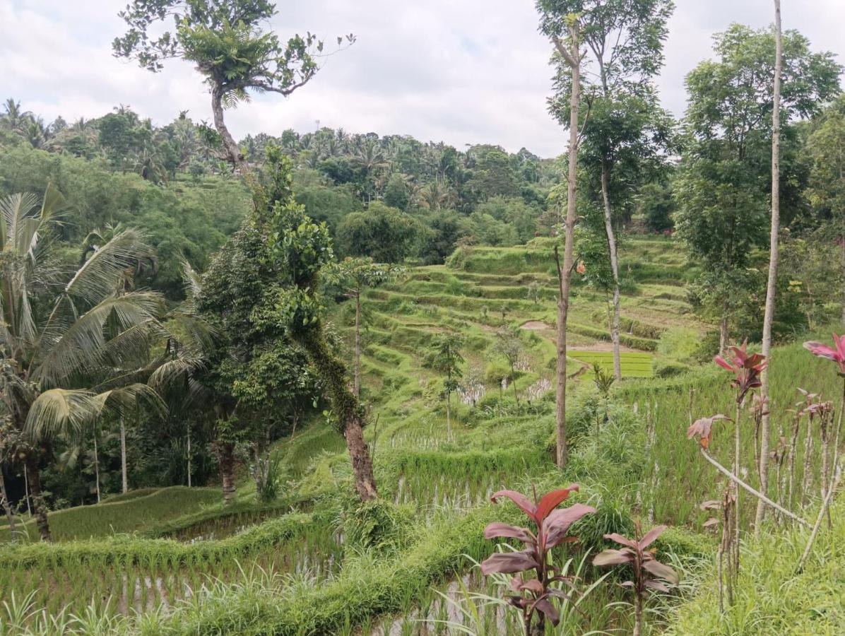Tetebatu Mountain View Homestay 외부 사진