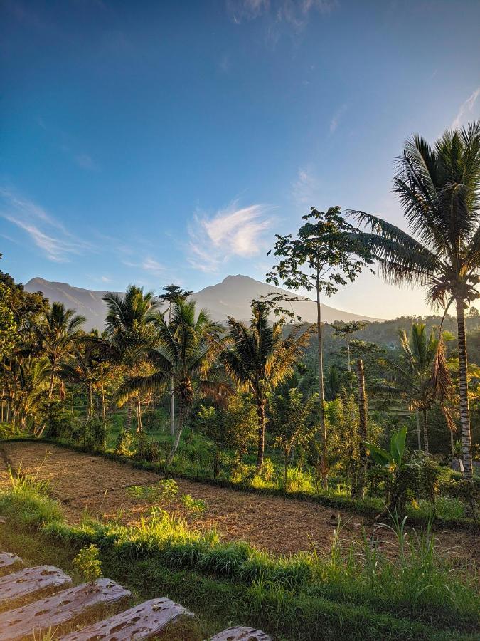 Tetebatu Mountain View Homestay 외부 사진