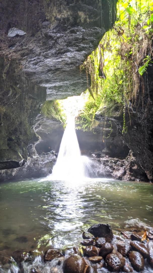 Tetebatu Mountain View Homestay 외부 사진